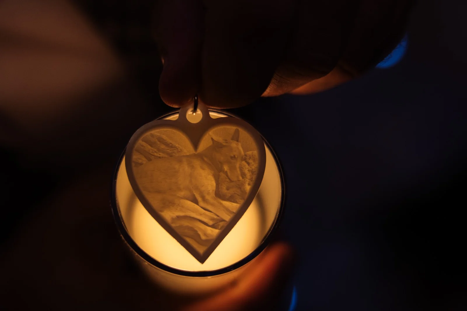 Lithophane keyring with dog photo lit up - showing light-reactive effect where image becomes visible when held to light